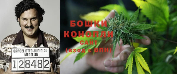 молекула духа Арсеньев