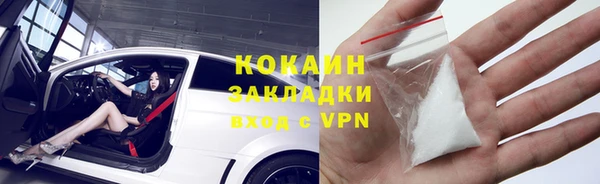 тгк Богданович