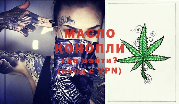 молекула духа Арсеньев