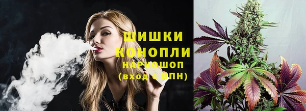 молекула духа Арсеньев