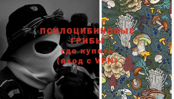 амф Аркадак