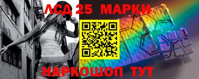 индика Моздок