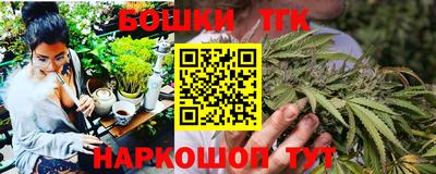 индика Моздок