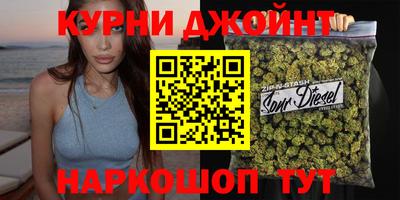 индика Моздок