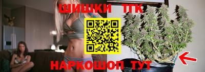 индика Моздок