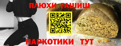 индика Моздок