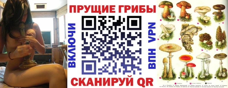 MEGA зеркало  Саки  Галлюциногенные грибы Cubensis  купить  